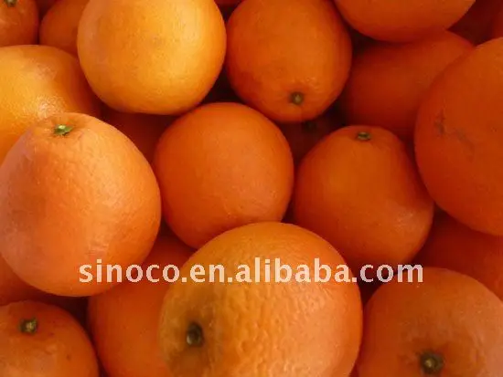 
Oranges and Tangerines 