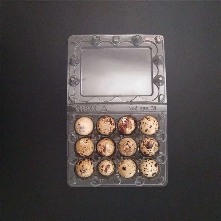 Jumbo Quail Egg Cartons 12 Quail Eggs Box - Buy Jumbo Quail Egg Cartons