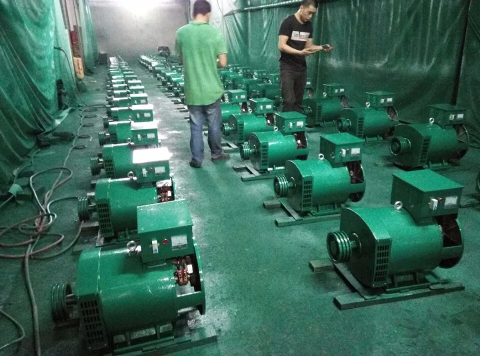 Best Sales Stc Series 100 Copper Winding Lowspeed Alternator 240 Volt