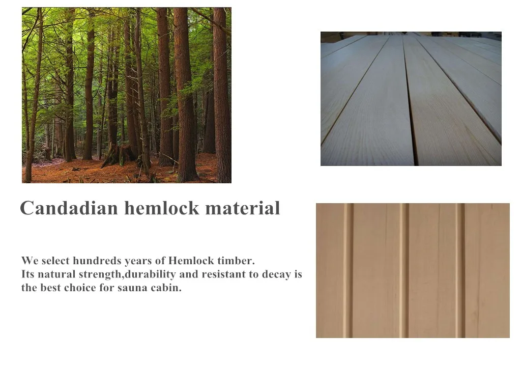 hemlock.jpg