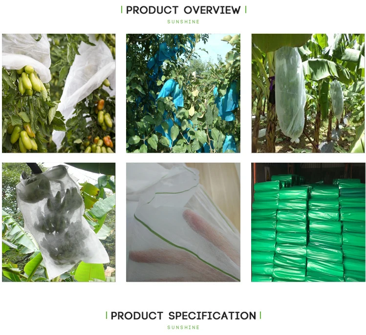 2019 new  banana bag Environmental PP nonwoven fabric for fruit bag nonwoven agriculture