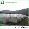 Top Quality China Single Span Polyethylene 200 micron Film clip for Greenhouse