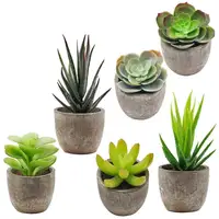 

6 Pcs Artificial Topiary Plant Potted Assorted Potted Succulents Plants