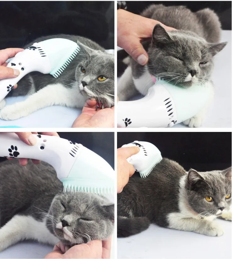 Electrical Portable Mini Size Vacuum Pet Hair Mini Vacuum Cleaner For