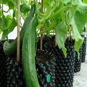 Black  Pvc   Air Pruning Container Pot