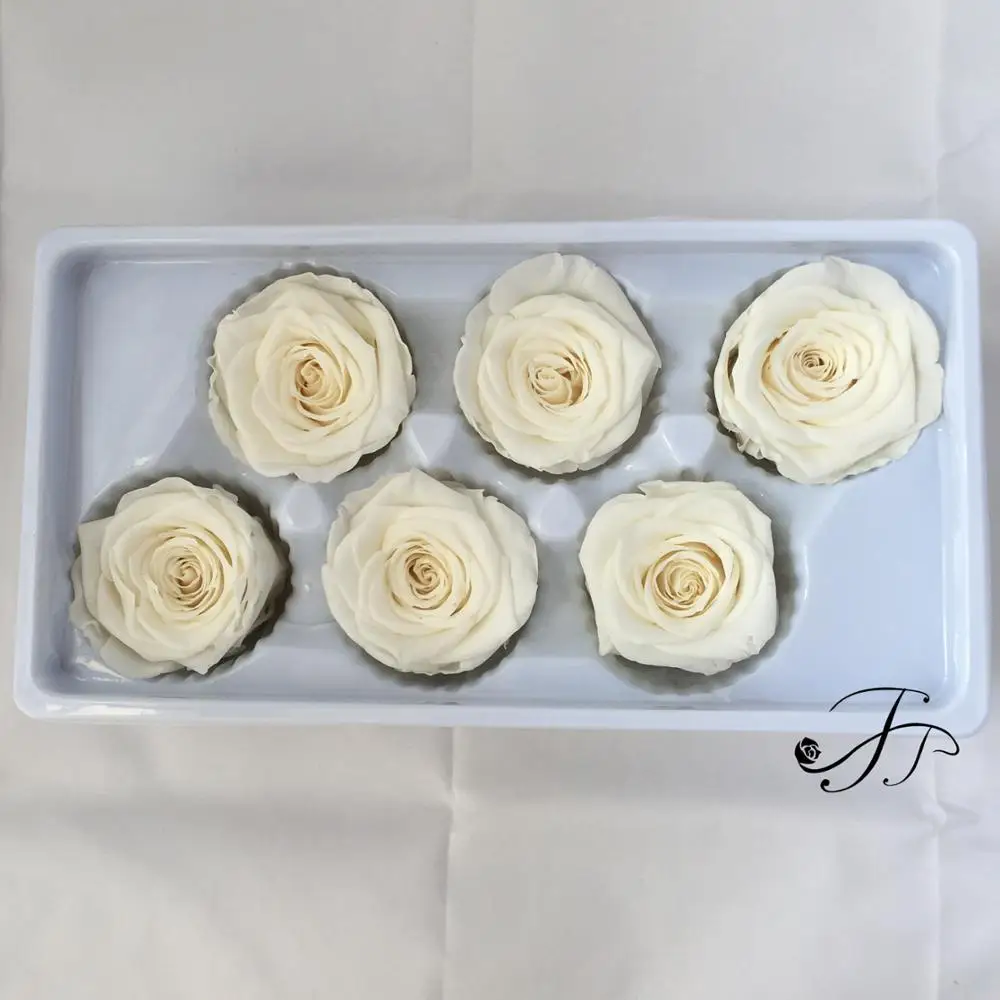 
Long lasting A grade 5 6 CM Ivory Real Preserved Flowers Roses Head for Home Decor 