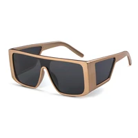 

ADE WU New One Piece Lens Sunglasses Women Oversized Square 2019 Brand Designer Men Driving Sun Glasses UV400 STY6938G