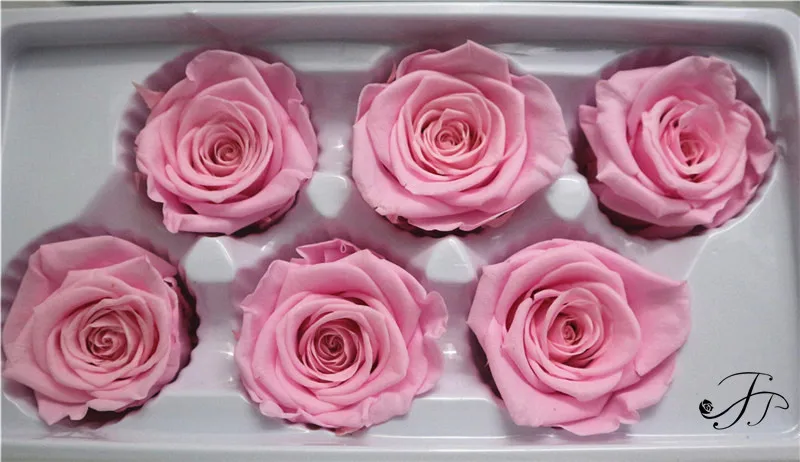 
Long lasting A grade 5-6 CM Ivory Real Preserved Flowers Roses Head for Home Decor 