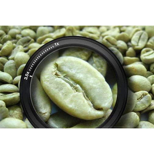 
Brazil green coffee arabica with nice price 