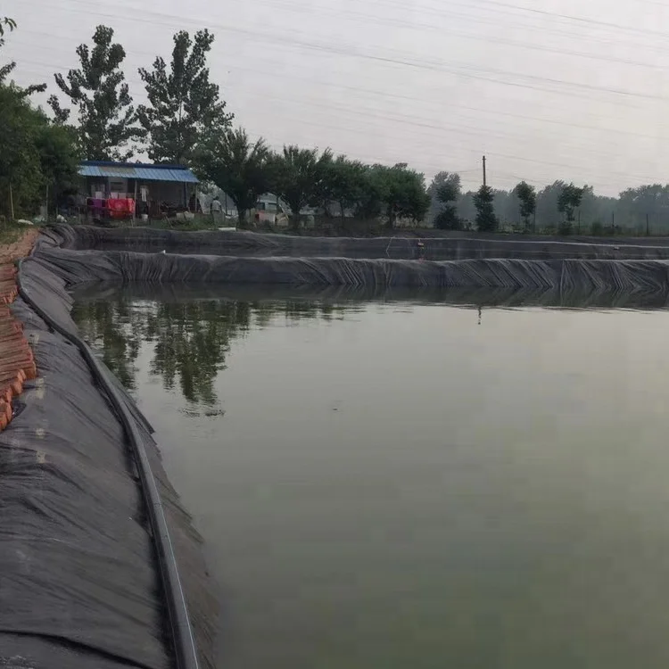 
plastic roll sheet pond liners cheap price hdpe geomembrane 