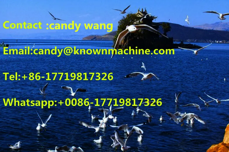 Electric commercial 30pcs/time Semi-automatic dough ball roller rounding machine
