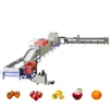 Fruit and Vegetable Washing Waxing and Grading Machine