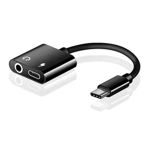 2 1 USB C Charger & Audio Adapter