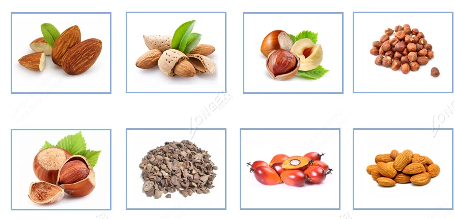 Facrory Price Almond Dehulling Apricot Kernels Cracking Shell Separating Machine Palm Nut Breaking Machine