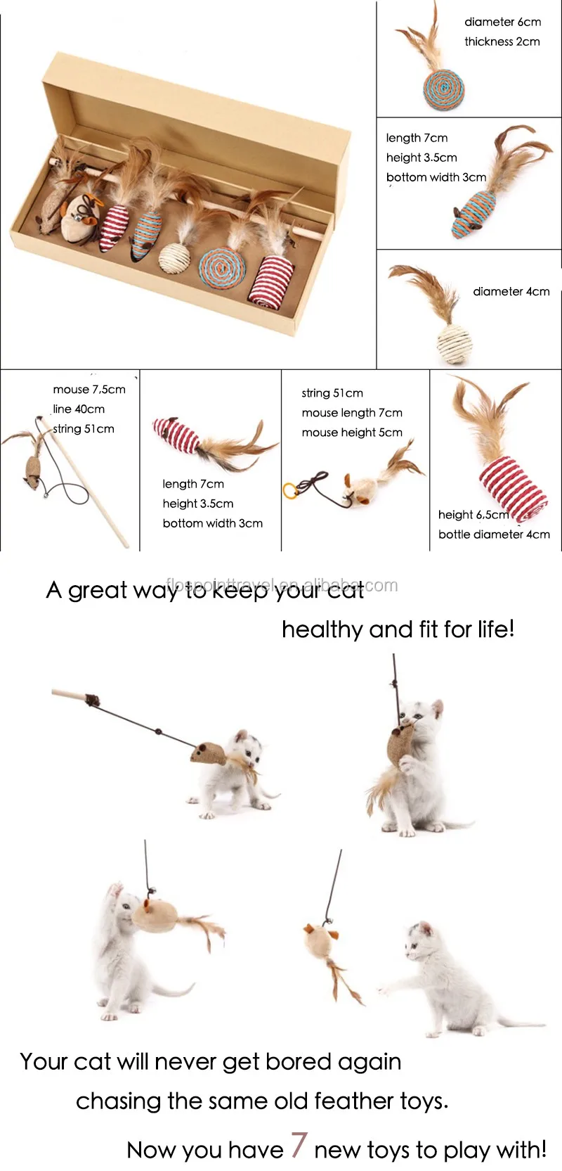 buy cat toys online