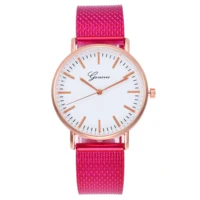 

Hot style Geneva net watch leisure simple quartz watch ladies watch wholesale