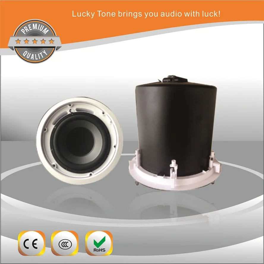 10 Inch 240w Ceiling Subwoofer Speaker With 100v Line Transformer