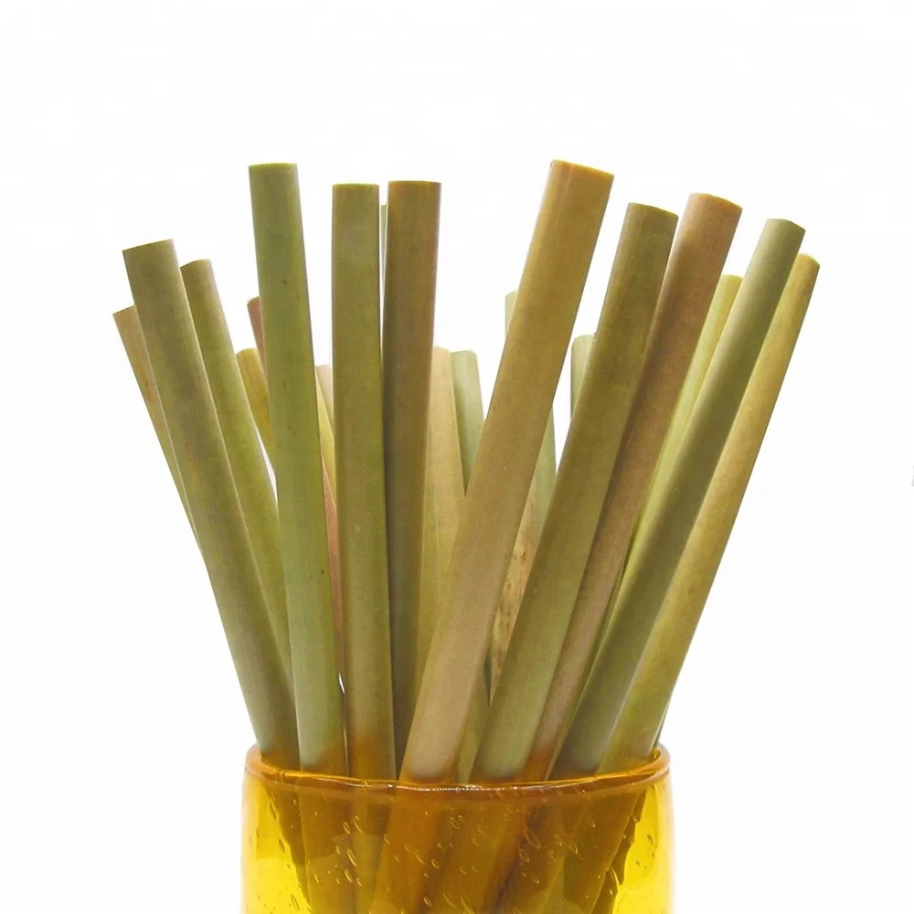 

Amazon Top Seller! Customizable Reusable Biodegradable Bamboo Straw Drinking