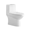 Contemporary and Refined Siphonic One Piece Toilet with Additional Components