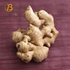 ginger/air dried fresh ginger price/buyers of dried split ginger