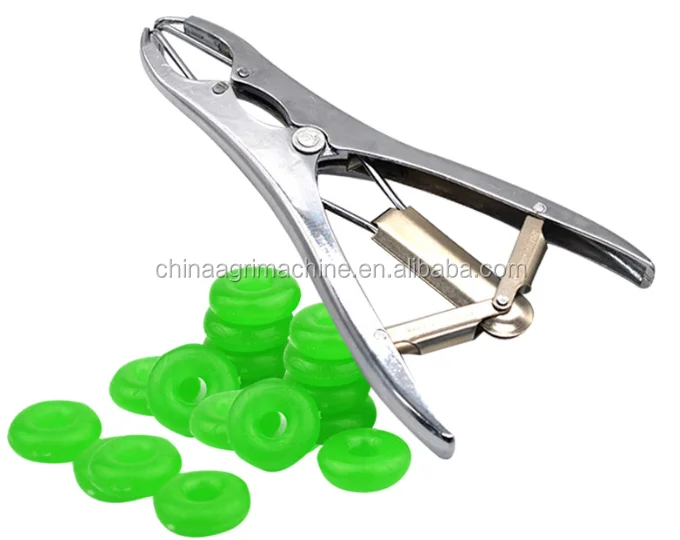 burdizzo castration