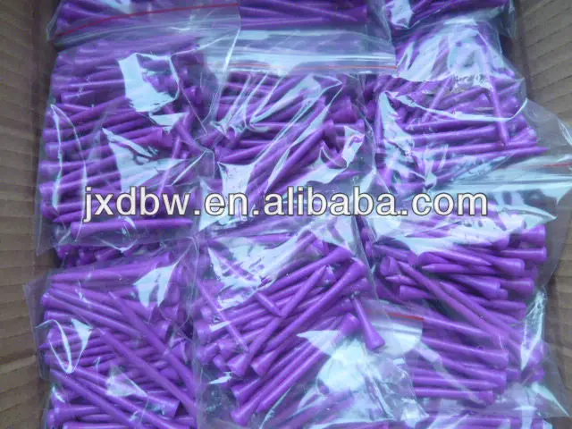 P1010602