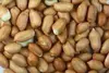 Good Quality Raw Peanuts