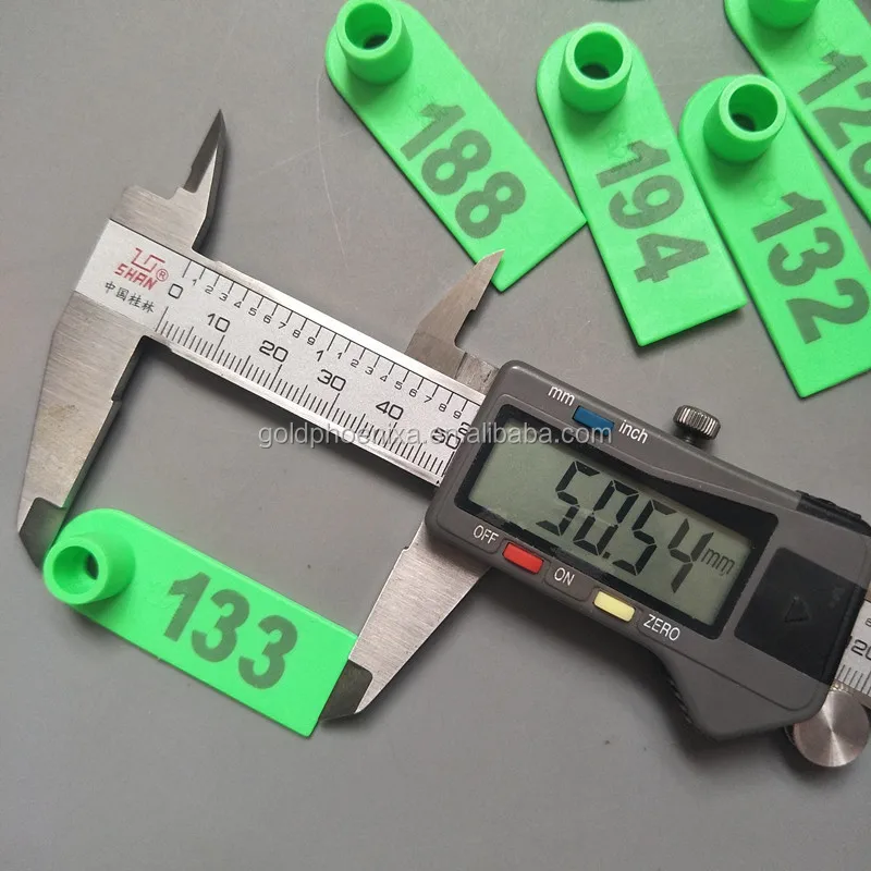 4564_.jpg