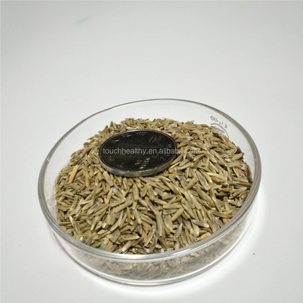 
ryegrass seeds forage seeds grass seeds booting mowing, accounting for 50% of total renewable 