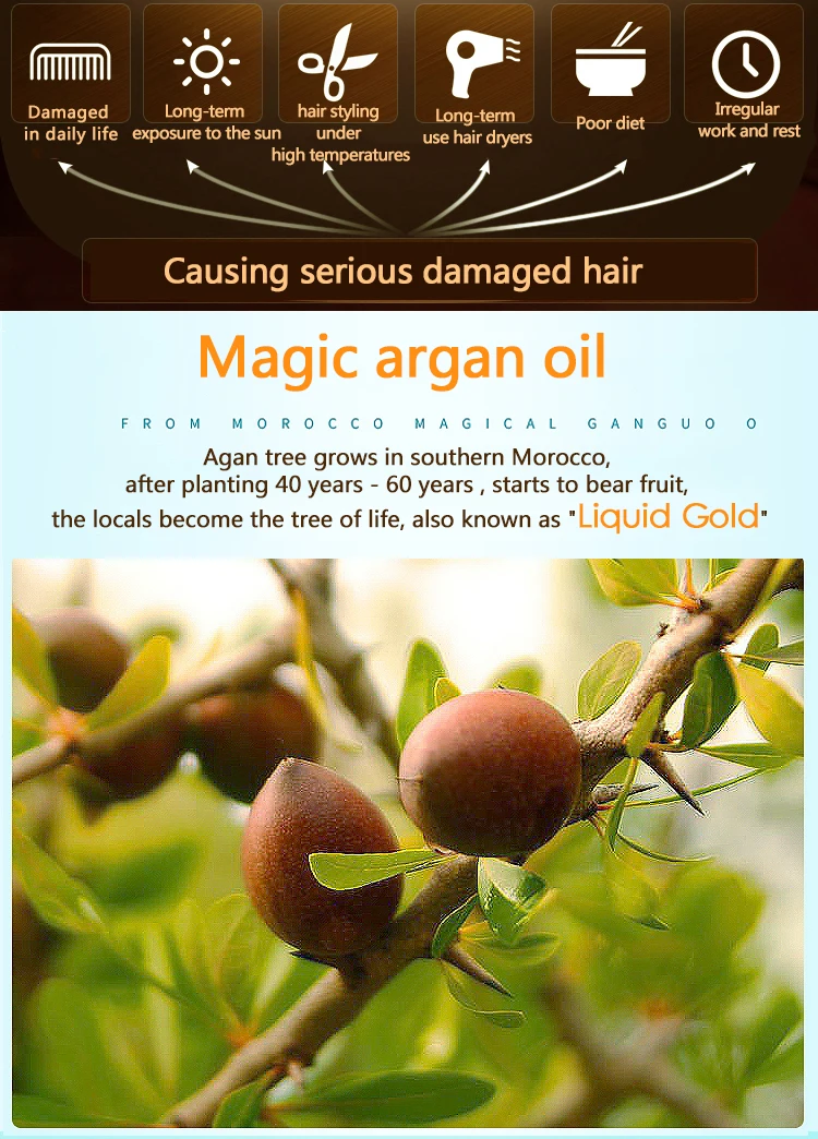 100 % pure organic morocco oil element care treatment hair argan oil for dry hair