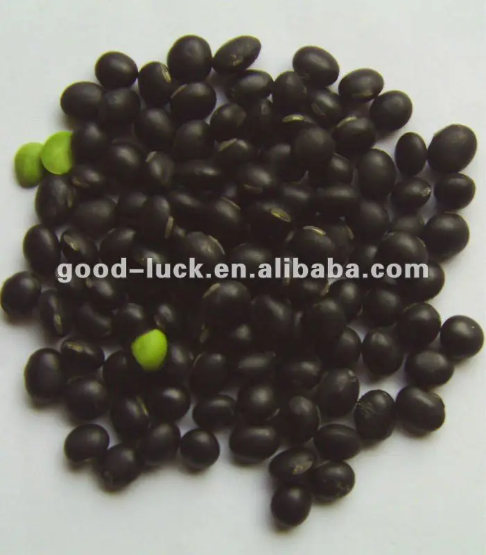 China Small Black Bean Green Inside,2018 Crop Buy Black Beans,Black