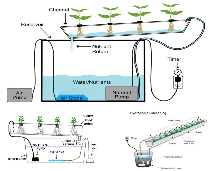 Hydroponic gutter used homemade hydroponics system