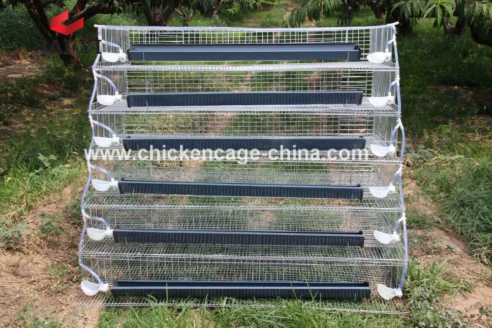 Baiyi Brand Wire Mesh Quail Cage For Sale With Automatic Water System (cheap And Direct Sale