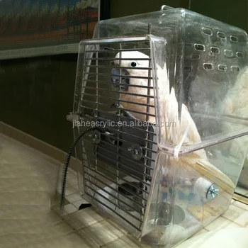 parrot cage and stand