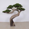 Handmade Fiberglass Trunk Faux Yew Pine Tree / Artificial Pine Tree For Home Landscaping Decor