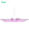 Koray LED tube panel optic led grow light led grow strip led horticole 2018