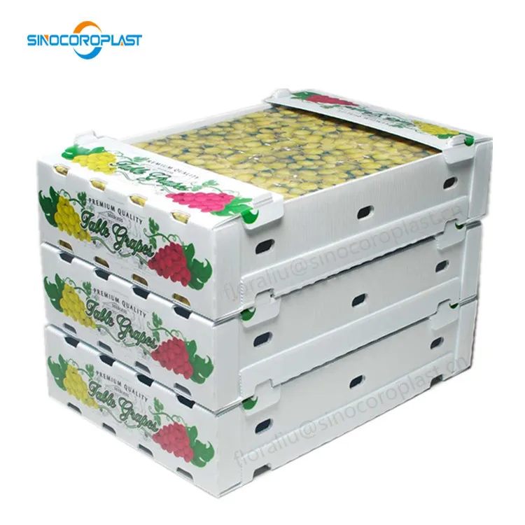 Stackable Pp Grape Packing Box Buy Grape Packing Box,Plastic Grape