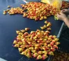 Colourful Artificial Plastic fish Bubble Lamp / Aquarium Fish
