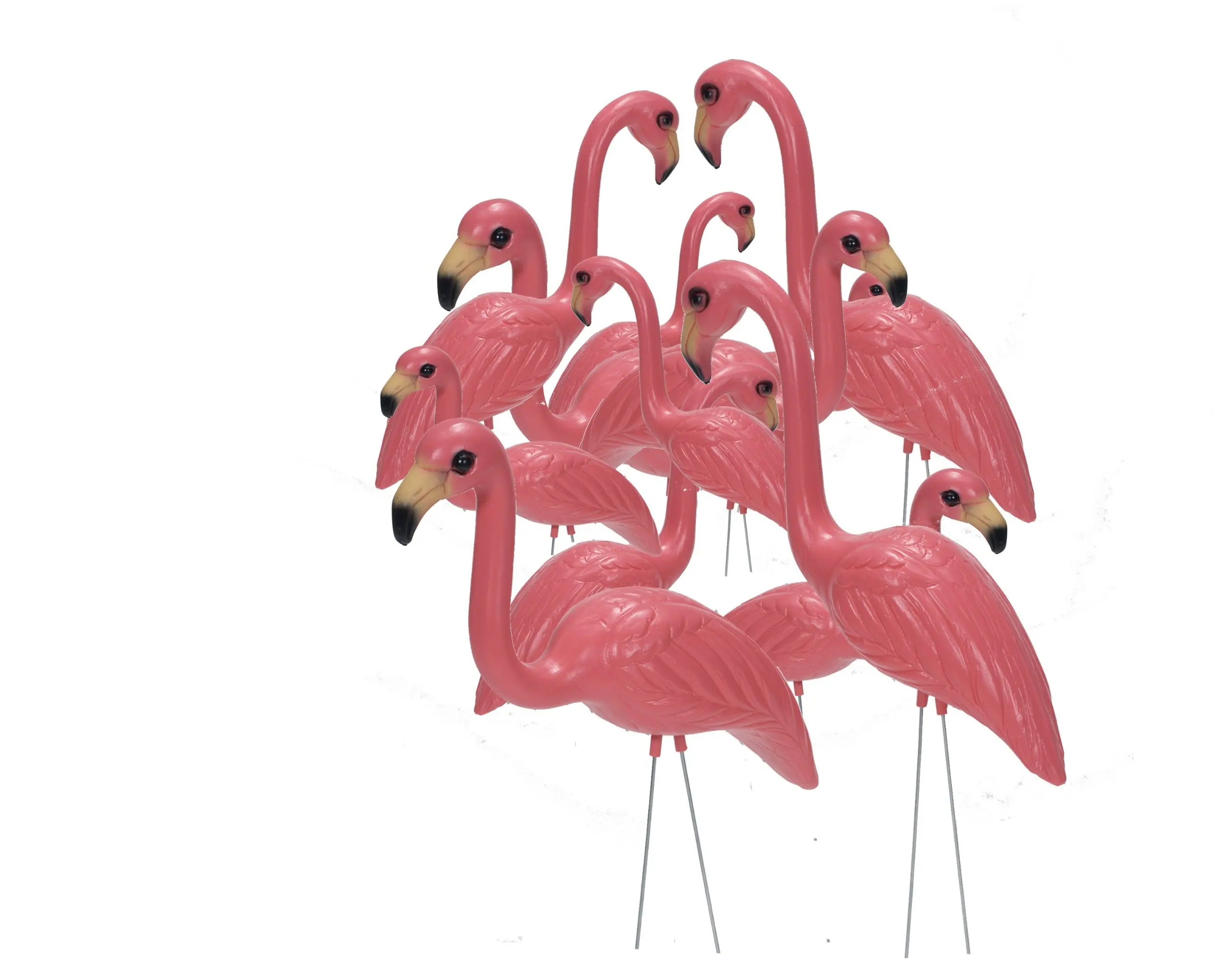 Cheap 2 Flamingos, find 2 Flamingos deals on line at