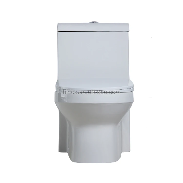
CSA Certificated Elongated Dual Flush One-piece Toilet 3097N 