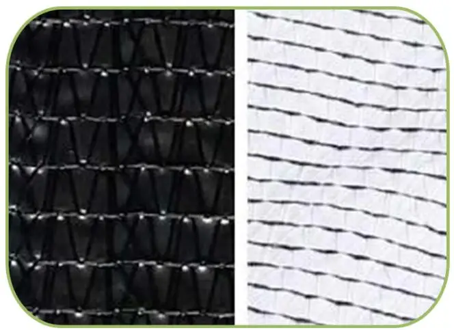 customized black out greenhouse