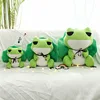 Toys and Hobbies Toy Animal Stuffed Plush Toy Animal High quality Green Frog Bolster