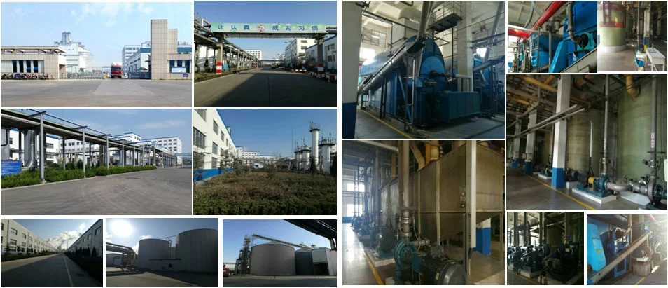 paste-pic-dp_uuid_3u03o