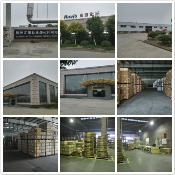 Polyester Yarn DTY50D/24F Semi dull