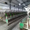 chicken house with Steel Material prefab poultry farm shed