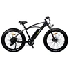 750W Rear Drive Motor Electric Bicycle Lithium Battery E Bike