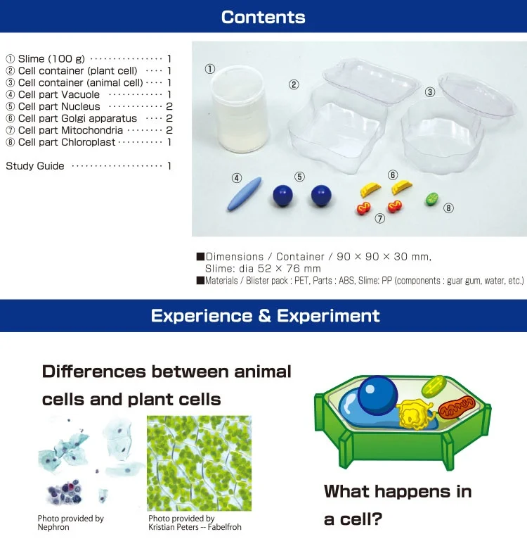 TXS-106 -Cell of life -8.jpg