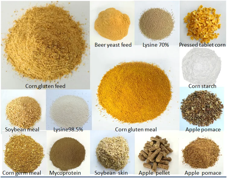 paste-pic-dp_uuid_2s2ln