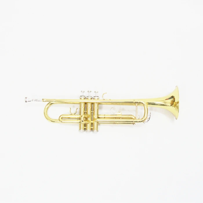 

China Brass B Flat Musical Bb Key Cheap Professional Trumpet