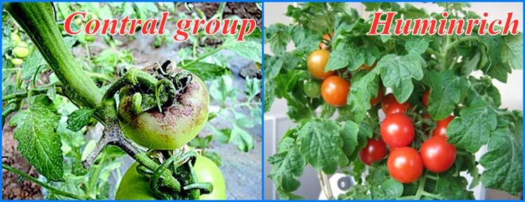 Huminrich Seaweed.jpg